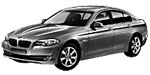 BMW F10 P329D Fault Code
